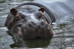 Zoo Antwerpen