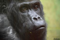 Zoo Antwerpen