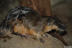Zoo Antwerpen