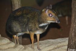 Zoo Antwerpen
