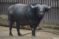 Zoo Antwerpen