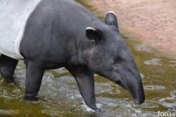 Zoo Antwerpen