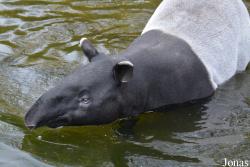 Zoo Antwerpen