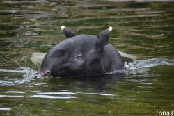 Zoo Antwerpen