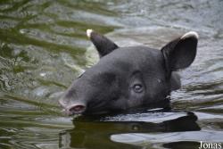 Zoo Antwerpen