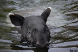 Zoo Antwerpen