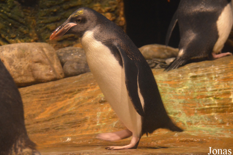 Zoo Antwerpen