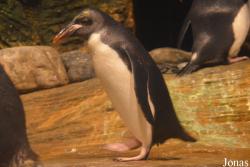 Zoo Antwerpen