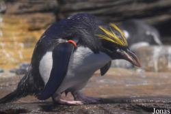 Zoo Antwerpen