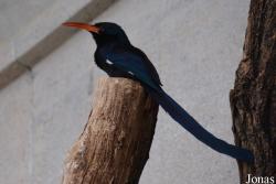 Zoo Antwerpen