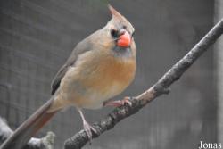 Zoo Antwerpen