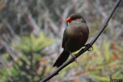 Zoo Antwerpen