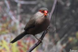 Zoo Antwerpen