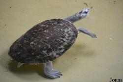 Zoo Antwerpen