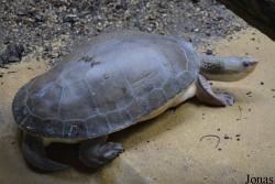 Zoo Antwerpen