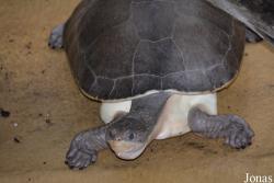 Zoo Antwerpen