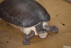 Zoo Antwerpen