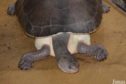 Zoo Antwerpen
