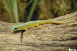 Zoo Antwerpen