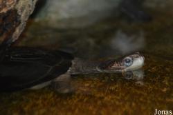 Zoo Antwerpen