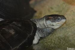 Zoo Antwerpen