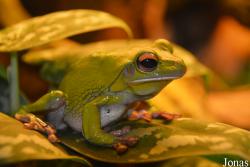 Zoo Antwerpen