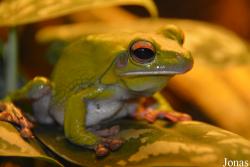 Zoo Antwerpen