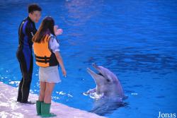 Hengqin Chimelong Ocean Kingdom
