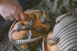 Tierpark Donnersberg