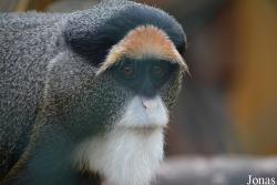 Tierpark Donnersberg