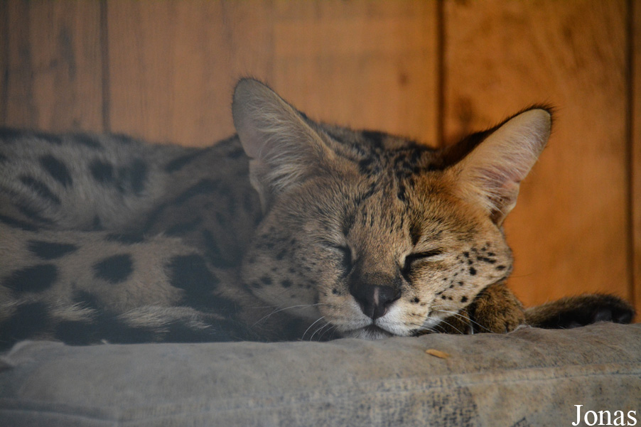 Tierpark Donnersberg