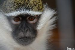Tierpark Donnersberg