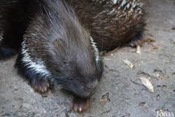 Zoo Kaiserslautern