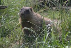 Arche Noah Zoo Braunschweig