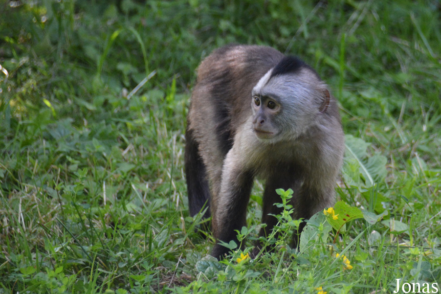 Tierpark Essehof