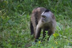 Tierpark Essehof