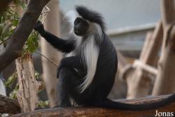 Zoologischer Garten Magdeburg