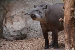 Zoologischer Garten Magdeburg