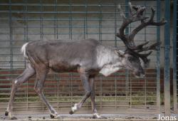 Zoologischer Garten Magdeburg