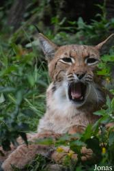 Zoologischer Garten Magdeburg