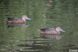 Zoologischer Garten Magdeburg