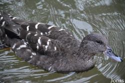 Zoologischer Garten Magdeburg