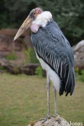 Zoologischer Garten Magdeburg