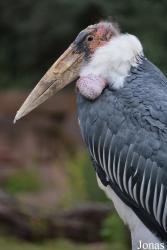 Zoologischer Garten Magdeburg