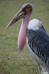 Zoologischer Garten Magdeburg