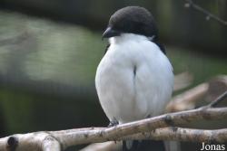Zoologischer Garten Magdeburg