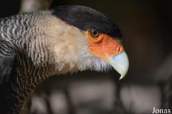 Zoologischer Garten Magdeburg
