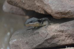 Zoologischer Garten Magdeburg