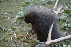 Zoologischer Garten Magdeburg