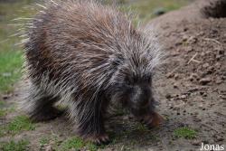 Zoologischer Garten Magdeburg